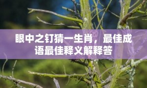 眼中之钉猜一生肖，最佳成语最佳释义解释答