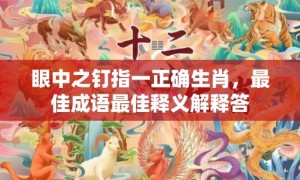 眼中之钉指一正确生肖，最佳成语最佳释义解释答