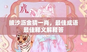 披沙沥金猜一肖，最佳成语最佳释义解释答