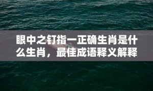 眼中之钉指一正确生肖是什么生肖，最佳成语释义解释落实