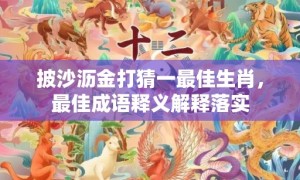 披沙沥金打猜一最佳生肖，最佳成语释义解释落实