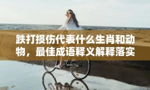 跌打损伤代表什么生肖和动物，最佳成语释义解释落实