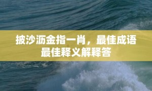 披沙沥金指一肖，最佳成语最佳释义解释答