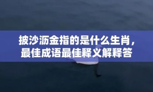 披沙沥金指的是什么生肖，最佳成语最佳释义解释答