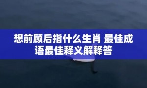 想前顾后指什么生肖 最佳成语最佳释义解释答