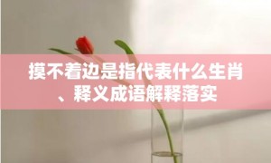 摸不着边是指代表什么生肖、释义成语解释落实