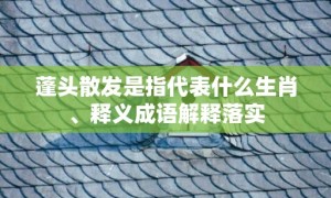 蓬头散发是指代表什么生肖、释义成语解释落实