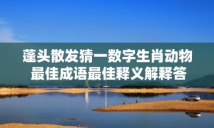 蓬头散发猜一数字生肖动物 最佳成语最佳释义解释答