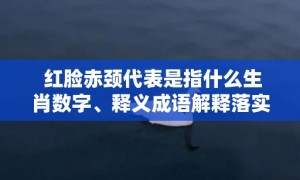 红脸赤颈代表是指什么生肖数字、释义成语解释落实