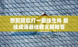 想前顾后打一最佳生肖 最佳成语最佳释义解释答