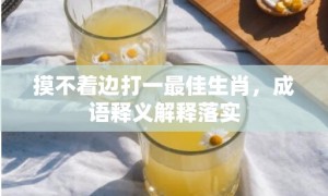 摸不着边打一最佳生肖，成语释义解释落实