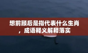 想前顾后是指代表什么生肖，成语释义解释落实