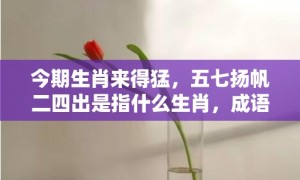 今期生肖来得猛，五七扬帆二四出是指什么生肖，成语释义解释落实