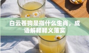 白云苍狗是指什么生肖，成语解释释义落实