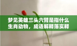 梦见英雄三头六臂是指什么生肖动物，成语解释落实释义