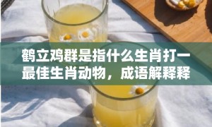 鹤立鸡群是指什么生肖打一最佳生肖动物，成语解释释义落实