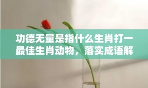 功德无量是指什么生肖打一最佳生肖动物，落实成语解释释义