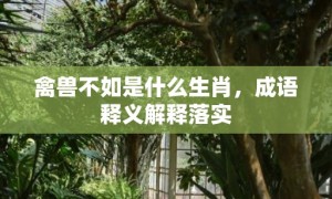 禽兽不如是什么生肖，成语释义解释落实