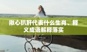 揪心扒肝代表什么生肖、释义成语解释落实