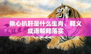 揪心扒肝是什么生肖、释义成语解释落实