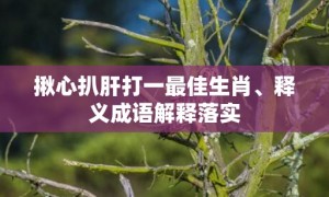 揪心扒肝打一最佳生肖、释义成语解释落实