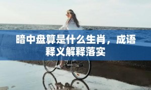 暗中盘算是什么生肖，成语释义解释落实