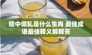 暗中倾轧是什么生肖 最佳成语最佳释义解释答