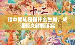 暗中倾轧是指什么生肖，成语释义解释落实