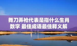 舞刀弄枪代表是指什么生肖数字 最佳成语最佳释义解释答