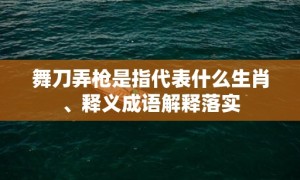 舞刀弄枪是指代表什么生肖、释义成语解释落实