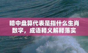 暗中盘算代表是指什么生肖数字，成语释义解释落实