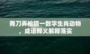 舞刀弄枪猜一数字生肖动物，成语释义解释落实