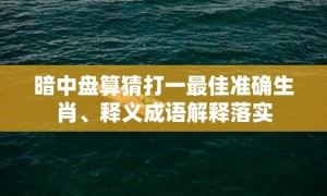 暗中盘算猜打一最佳准确生肖、释义成语解释落实