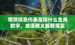 喟然叹息代表是指什么生肖数字，成语释义解释落实