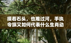 摸着石头，也难过河，手执令旗又如何代表什么生肖动物，成语释义解释落实