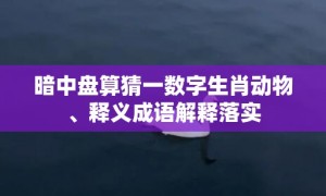 暗中盘算猜一数字生肖动物、释义成语解释落实