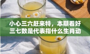 小心三六赶来特，本期看好三七数是代表指什么生肖动物、最佳释义解释答