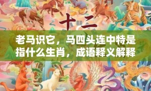 老马识它，马四头连中特是指什么生肖，成语释义解释落实