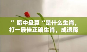 ”暗中盘算“是什么生肖，打一最佳正确生肖，成语释义解释落实