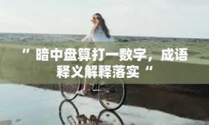 ”暗中盘算打一数字，成语释义解释落实“