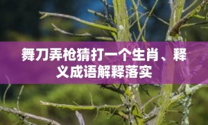 舞刀弄枪猜打一个生肖、释义成语解释落实