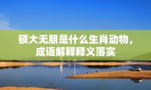 硕大无朋是什么生肖动物，成语解释释义落实