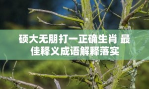 硕大无朋打一正确生肖 最佳释义成语解释落实