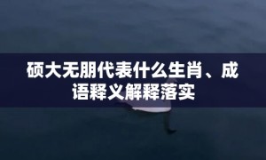 硕大无朋代表什么生肖、成语释义解释落实