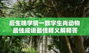 后生晚学猜一数字生肖动物 最佳成语最佳释义解释答