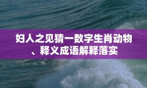 妇人之见猜一数字生肖动物、释义成语解释落实