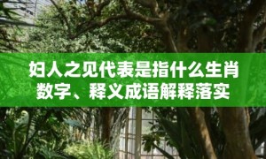 妇人之见代表是指什么生肖数字、释义成语解释落实