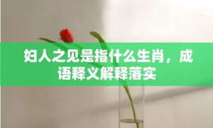 妇人之见是指什么生肖，成语释义解释落实