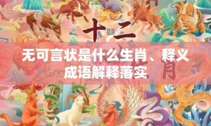 无可言状是什么生肖、释义成语解释落实