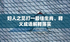 妇人之见打一最佳生肖、释义成语解释落实